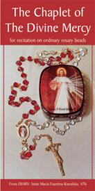 9781596140110 Divine Mercy Chaplet For The Sick And Dying 100 Pack