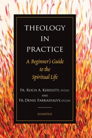 9781621646259 Theology In Practice