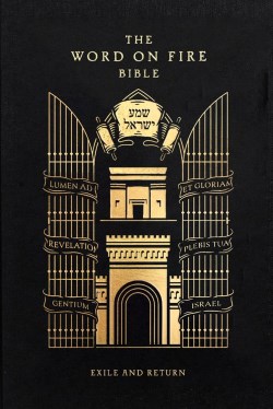 9781685781422 Word On Fire Bible Exile And Return